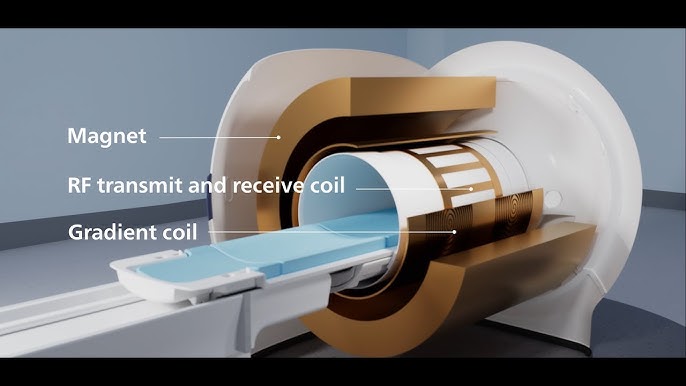 gradient coils in MRi